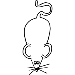 Original Drawings