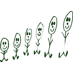 Original Drawings