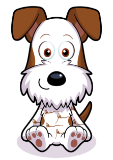 insightful-irish-terrier