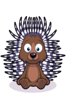 positive-porcupine