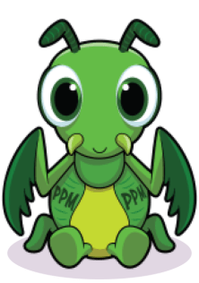 principled-praying-mantis