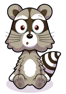 Respectful Racoon