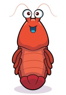 sufficient-shrimp