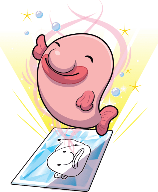 Bashful Blobfish Image