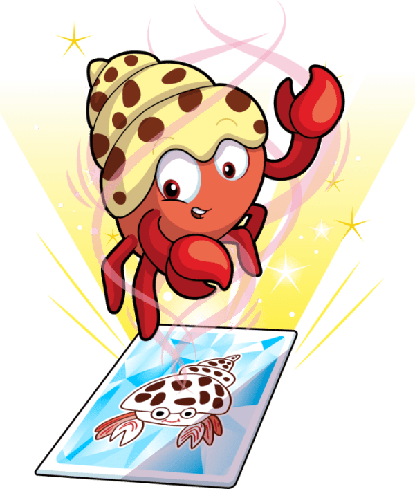 Happy Hermit Crab Image
