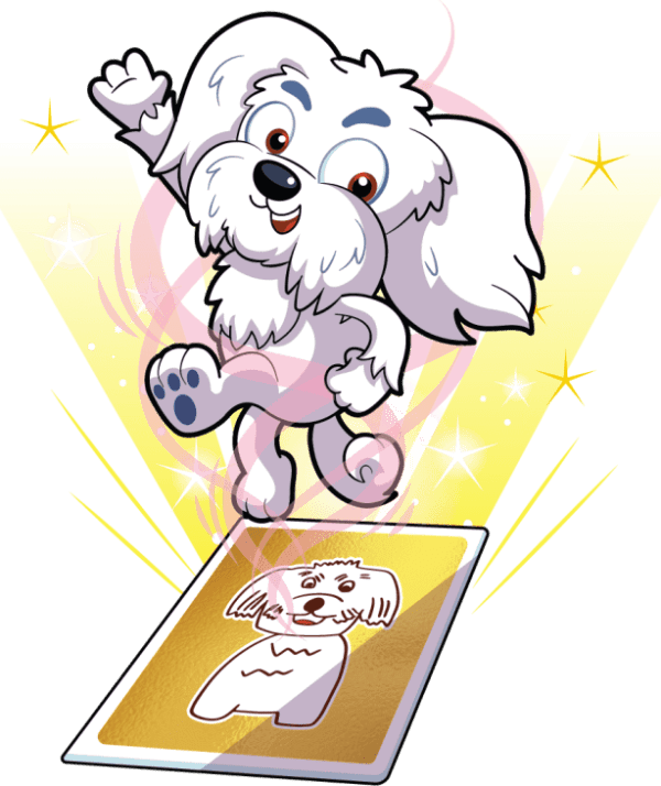 Magnanimous Maltese Image