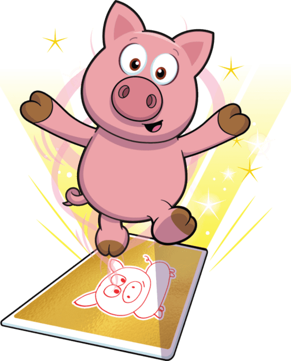 Patient Pig Image