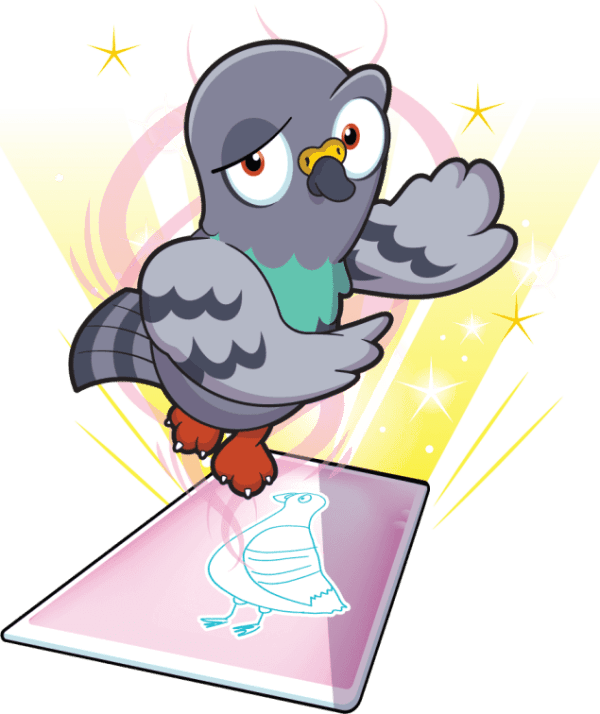 Perspective Pigeon Image
