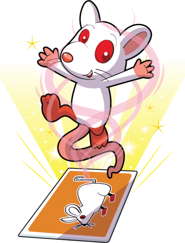 Reliable Rat Image