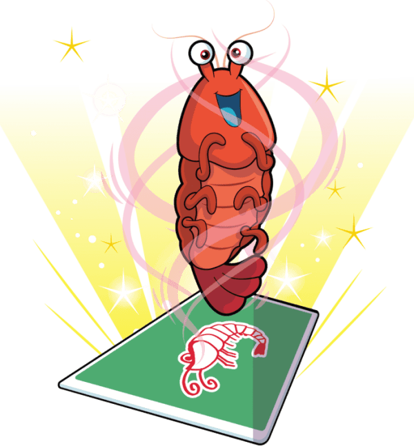 Sufficient Shrimp Image