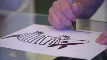 The Creation of Articulate Armadillo by Gary Vaynerchuk | VeeFriends