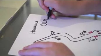 The Creation of Honorable Holm by Gary Vaynerchuk | VeeFriends