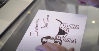 The Creation of Insightful Irish Terrier by Gary Vaynerchuk | VeeFriends