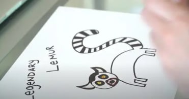 The Creation of Legendary Lemur by Gary Vaynerchuk | VeeFriends