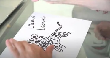 The Creation of Likeable Leopard by Gary Vaynerchuk | VeeFriends