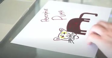The Creation of Perceptive Puma by Gary Vaynerchuk | VeeFriends