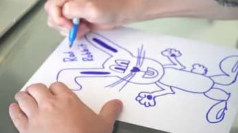 The Creation of Radical Rabbit by Gary Vaynerchuk | VeeFriends
