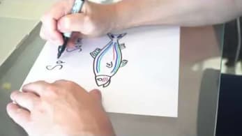 The Creation of Spiffy Salmon by Gary Vaynerchuk | VeeFriends
