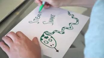 The Creation of Steadfast Snake by Gary Vaynerchuk | VeeFriends