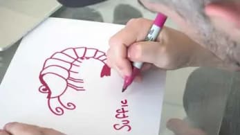 The Creation of Sufficient Shrimp by Gary Vaynerchuk | VeeFriends