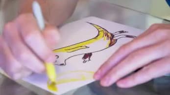 The Creation of To The Moon Meerkat by Gary Vaynerchuk | VeeFriends
