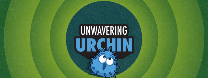 Unwavering Urchin in... Unwavering Urchin | Veefriends