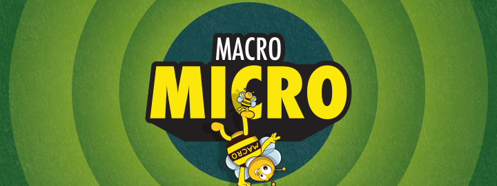 Macro Micro in... Macro Micro | Veefriends
