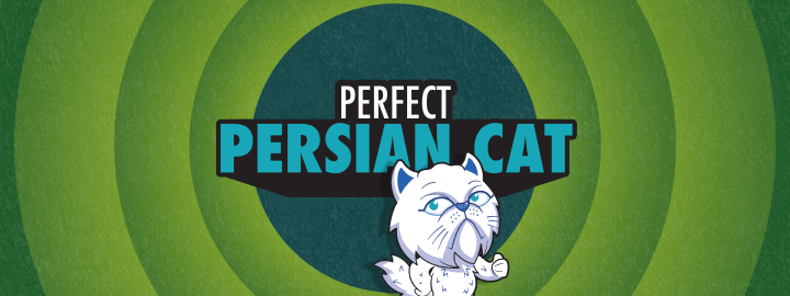 Perfect Persian Cat in... Perfect Persian Cat | Veefriends