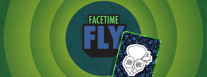 Facetime Fly in... Facetime Fly | Veefriends