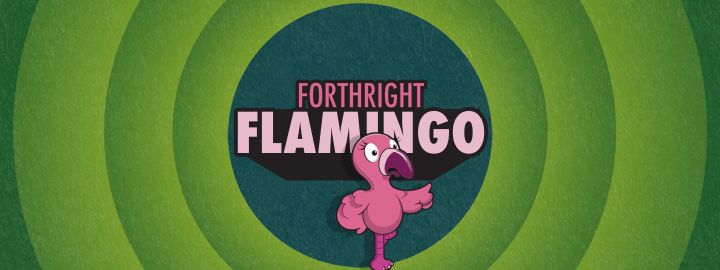 Forthright Flamingo in... Forthright Flamingo | Veefriends