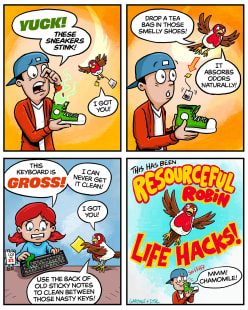 Resourceful Robin Life Hacks!