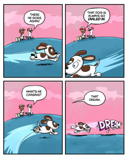 Chasing the Dream