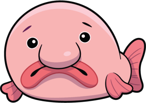 Bashful Blobfish