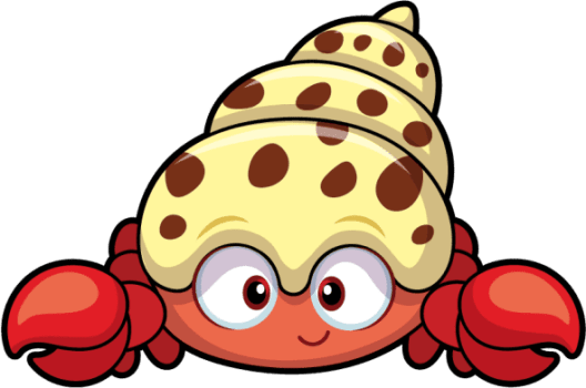 Happy Hermit Crab