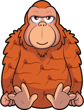 Offense Oriented Orangutan