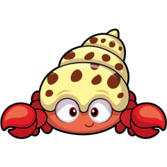 Happy Hermit Crab