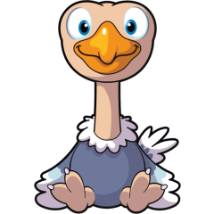 Organized Ostrich
