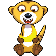 To The Moon Meerkat