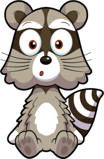 Respectful Racoon