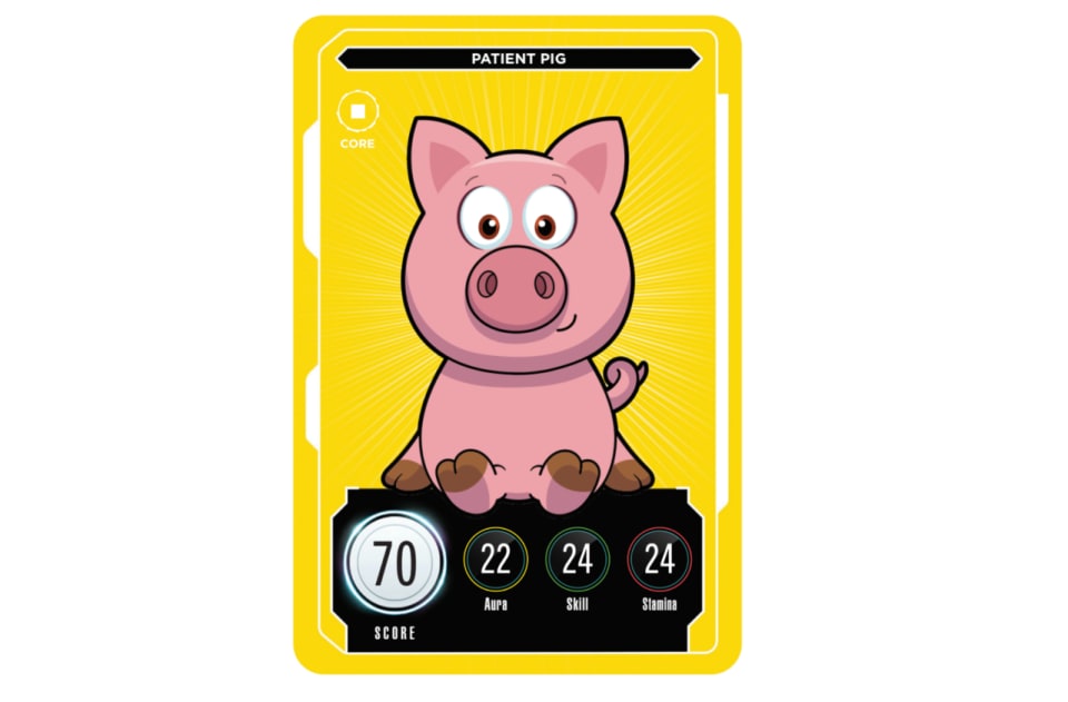 PATIENT PIG: 70