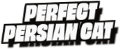 Perfect
Persian Cat