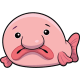 Bashful Blobfish