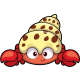 Happy Hermit Crab