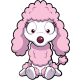 Polished Poodle