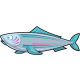 Spiffy Salmon