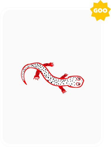 Gary Vaynerchuk - Vee Friends - Sentimental Salamander - NFT # 8193