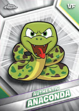 Authentic Anaconda - Base
