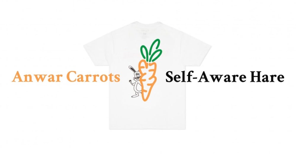 Anwar Carrots 🥕 Self-Aware Hare — Winter ’21 Collaboration