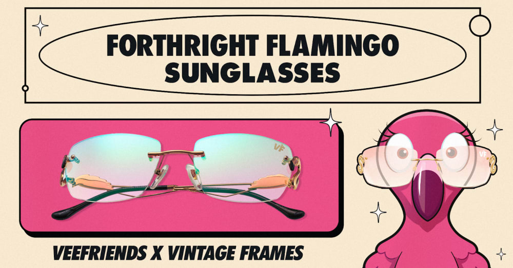 VeeFriends x Vintage Frames: Forthright Flamingo Sunglasses