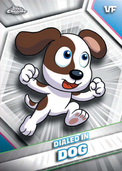Dialed In Dog